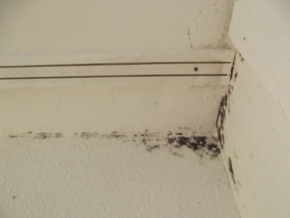 Technician in protective gear removing a mold-damaged wall in a Marble Hill home